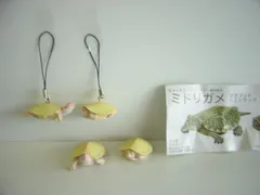 ミドリガメ マグネット×ストラップ – ネイチャーテクニカラー公式