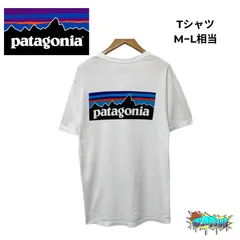 美品 パタゴニア Tシャツ M-L相当(表記S)  ホワイト バックロゴ プリント Patagonia オーガニックコットン メキシコ製 ストリート リラックスフィット カジュアル ユニセックス  古着 A425