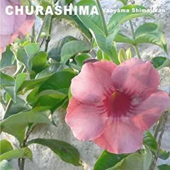 【中古】八重山島時間 ちゅらしまの唄 [CD]