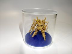 アクリル小型ケース100φサイズ（台座白マット）色板（青）付き