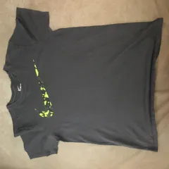 Tシャツ   THE NIKE TEE