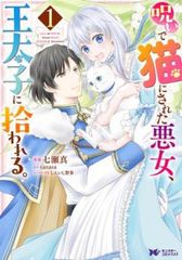 武人時代(79枚セット)第1話～第158話完結【字幕】【全巻セット