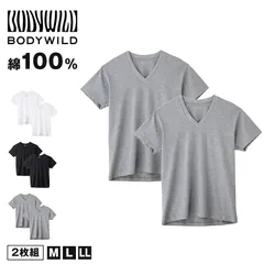 グンゼ vネック tシャツ ボディワイルド 綿100 2枚組 M L LL v首 肌着 下着 無地 インナー 2枚セット gunze bodywild 白 黒 灰 プレゼント ギフト