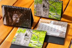 2024年カレンダー photo calendar 北海道 野鳥 動物 写真