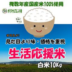 安い米 10kg 送料無料 生活応援米 令和4年 白米 おすすめ 人気 売れ筋