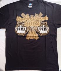 SPRINGROOVE 2012 フェスTシャツ　M