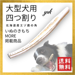 【24時間以内発送】🐶大型犬用🐶四つ割り🦌北海道産エゾ鹿の角🦌犬のおもちゃ🐕鹿の骨　F