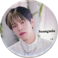 【中古】バッジ・ピンズ スンミン 缶バッジ 「Stray Kids 2nd World Tour “MANIAC” ENCORE in JAPAN」