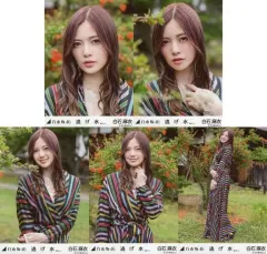 2025年最新】白石麻衣 生写真の人気アイテム - メルカリ