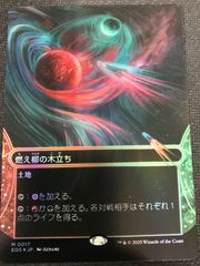 MTG FUT 燃え柳の木立ち　foil 燃え柳の木立ち [FUT] Foil 【BIGWEB | MTG】日本最大級の激安