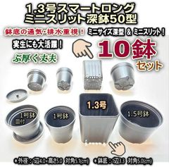 平日＊日中注文即日発送-New!＊小さく深めの1.3号スマートロング-ミニスリット深鉢50型-黒★スリット鉢★ぶ厚い高品質高機能ミニプラ鉢-10鉢＊多肉・塊根植物コーデックス・アガベ・サボテン・ハオルチア・アデニウム・パキポディウム・実生＠フラワーショップ江口