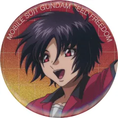 2026年最新】機動戦士ガンダムSEED FREEDOM トレーディング グリッター