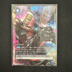 ユニオンアリーナ　ポール・フェニックス　R⭐︎  パラレル　鉄拳