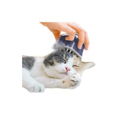 Item thumbnail for item 5f4c4bd0-d861-4393-8075-4dacbddb897b