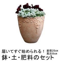 【新品】植木鉢・土・肥料のセット 直径25cm 模様入り丸深型HM白粉 素焼き鉢 小 6リットルと培養土と鉢底石と鉢底ネットと肥料のセット テラコッタ 鉢 おしゃれ