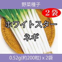 野菜種子 TVA12 ホワイトスターネギ 0.52g(約200粒) x 2袋