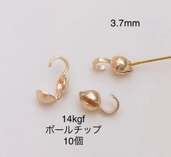 Item thumbnail for item 56c48309-aaaa-4650-b47b-44bb1f547879