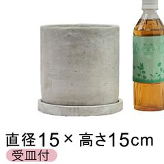 【新品】直径15cm セメントプランター 植木鉢 丸寸胴型 受皿付 おしゃれ かわいい 室内 インテリア ガーデニング雑貨 多肉植物 サボテン