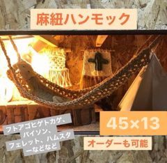 フトアゴ　ハンモック　フェレット　小動物