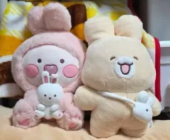 バニードール 出品