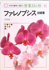 ☆胡蝶蘭☆ファレノプシス☆ミディー☆蘭工房☆訳あり☆希少☆8ポットセット Amazon｜鉢花 胡蝶蘭 ファレノミディ ホワイト ピンク 2本立ち 陶器