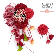 髪飾り 成人式 つまみ細工 赤 振袖 袴 2点セット 花 黒 下がり ラインストーン コーム Ｕピン ユニーク 個性的 かんざし かわい No.12-0639