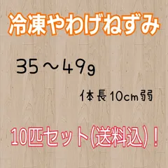 2024年最新】ヤワゲネズミの人気アイテム - メルカリ