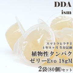 長寿延伸！スマトラヒラタ♀ 4年8ヶ月の生存記録【DDA】植物性タンパクゼリーEvo 18gM 2袋セット(80個入り) dda クワガタ カブトムシ ゼリー 昆虫ゼリー