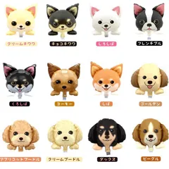 手のひらサイズの犬の風船♡垂れ耳　単品　誕生日　バルーン　パーティー　飾り