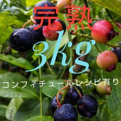 冷凍完熟ブルーベリー3kg  (全国送料込み)