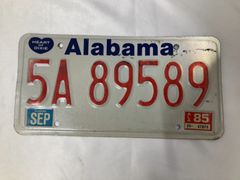 USA ライセンスプレート  5A 89589