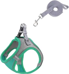 ルナリ 超小型犬 猫用 ハーネス リード 2点セット 調節可能 メッシュ 通気性 軽量 ソフト ベスト 小動物 散歩( グリーン,  M)