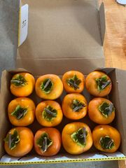 秋田県産 庄内柿 渋柿 干し柿用 12個 - 秋田の新鮮野菜・お漬物 - メルカリ