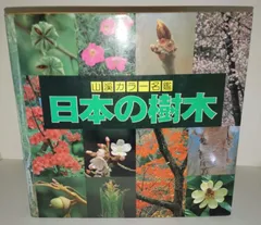 Amazon.co.jp: 2022 山渓カラー名鑑 日本の野草 山と渓谷社 図鑑