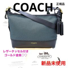 早い者勝ち！ほぼ新品一点物 正規品 MARNI マルニ ミニ財布 白