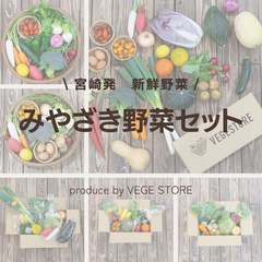 【お試し】野菜セット　九州野菜 送料無料（60size）