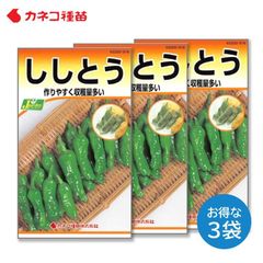 ししとう 種 ３袋セット 早生 甘く風味が良い たくさん獲れる 家庭菜園 野菜の種 畑 カネコ種苗