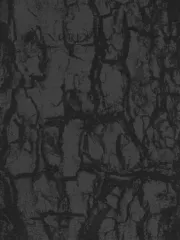 2026年最新】dir en grey dvd psychonnectの人気アイテム - メルカリ