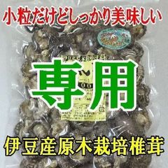 ★青いバラ様専用★追加同梱発送割引価格★伊豆産原木栽培の上質一寸どんこ200ｇ