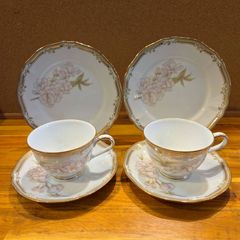 【廃盤希少品】Noritake GALACONTESSA ガラコンテッサ 桜   カップ＆ソーサー2客 18㎝プレート2枚　◇