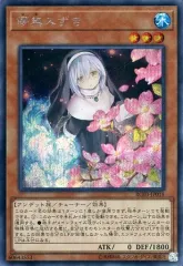 2025年最新】儚無みずきの人気アイテム - メルカリ