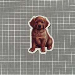 【B064】防水ステッカー 犬 dog ゴールデンレトリバー 大型犬 仔犬 子犬