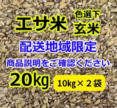 くず米　24kg 令和6年度産 くず米(玄米) 20kg⑤ 令和6年 クズ米 くず米 玄米
