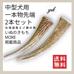 【クーポン発行中】中型犬用　一本物　先端　2本セット　鹿の角　犬のおもちゃ　D