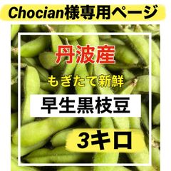 ランディ2様専用ページ - メルカリ ランディ2様専用ページ - メルカリ