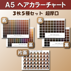ヘアカラーチャート3枚5種セット A5超厚口 おしゃれ染め 白髪染め ファッションカラー グレイカラー 平均顔 美容室