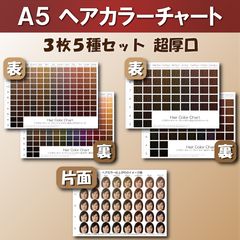 ヘアカラーチャート3枚5種セット A5超厚口 おしゃれ染め 白髪染め