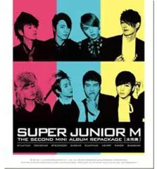 2024年最新】SUPER JUNIOR スーパージュニア グッズ ／ ミニチュア