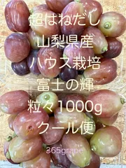 クール便発送地元でも買えない見繕い富士の輝き1kg弱
