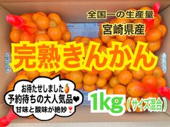 【優秀ちゃん】完熟❣️露地きんかん1㎏/金柑　キンカン　みかん　国産レモン　果物